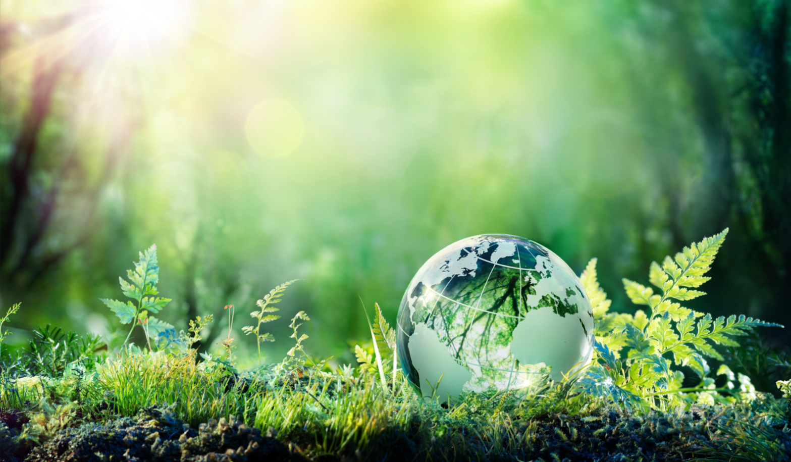 Comment diminuer notre impact sur l&rsquo;environnement en digital avec Adrien GALERNEAU- Agence HAPLOIDE